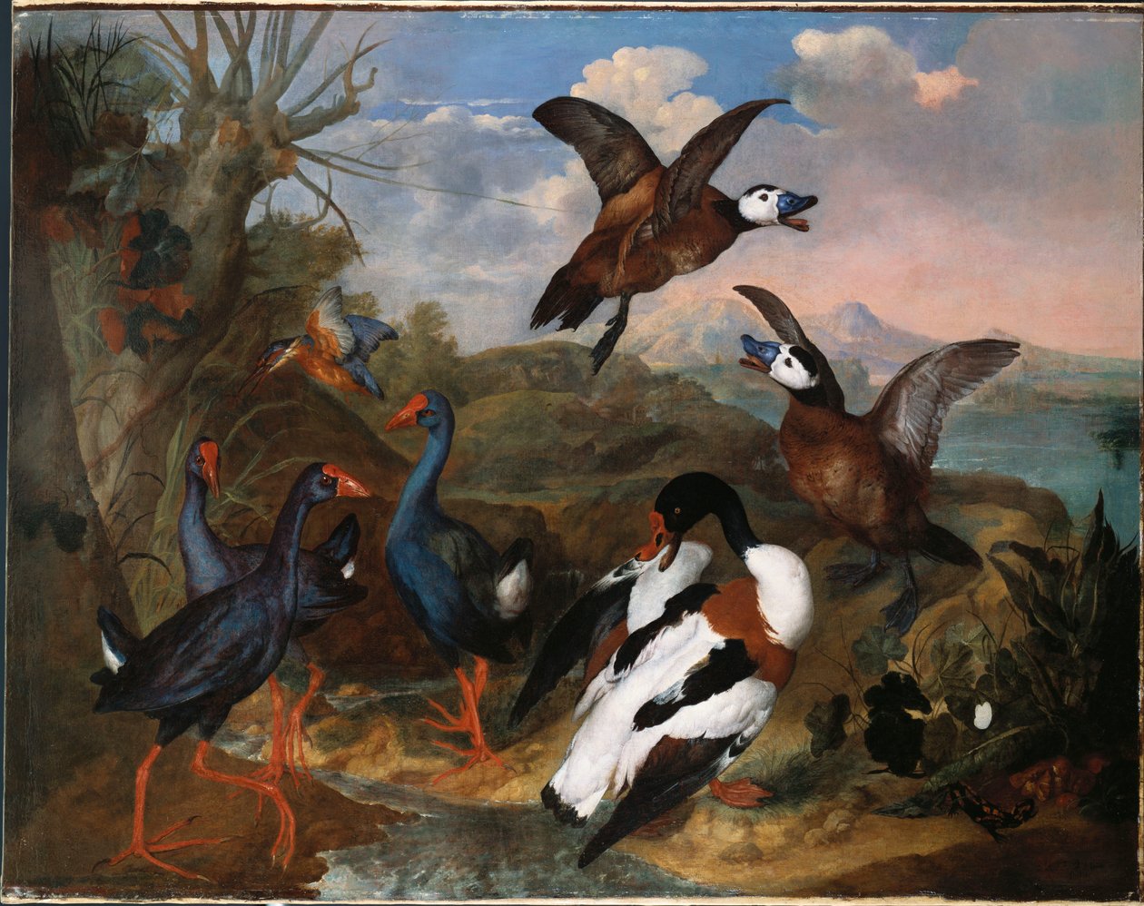 Bergeenden en andere Vogels in een Landschap, 1720 door Ferdinand Phillip de Hamilton