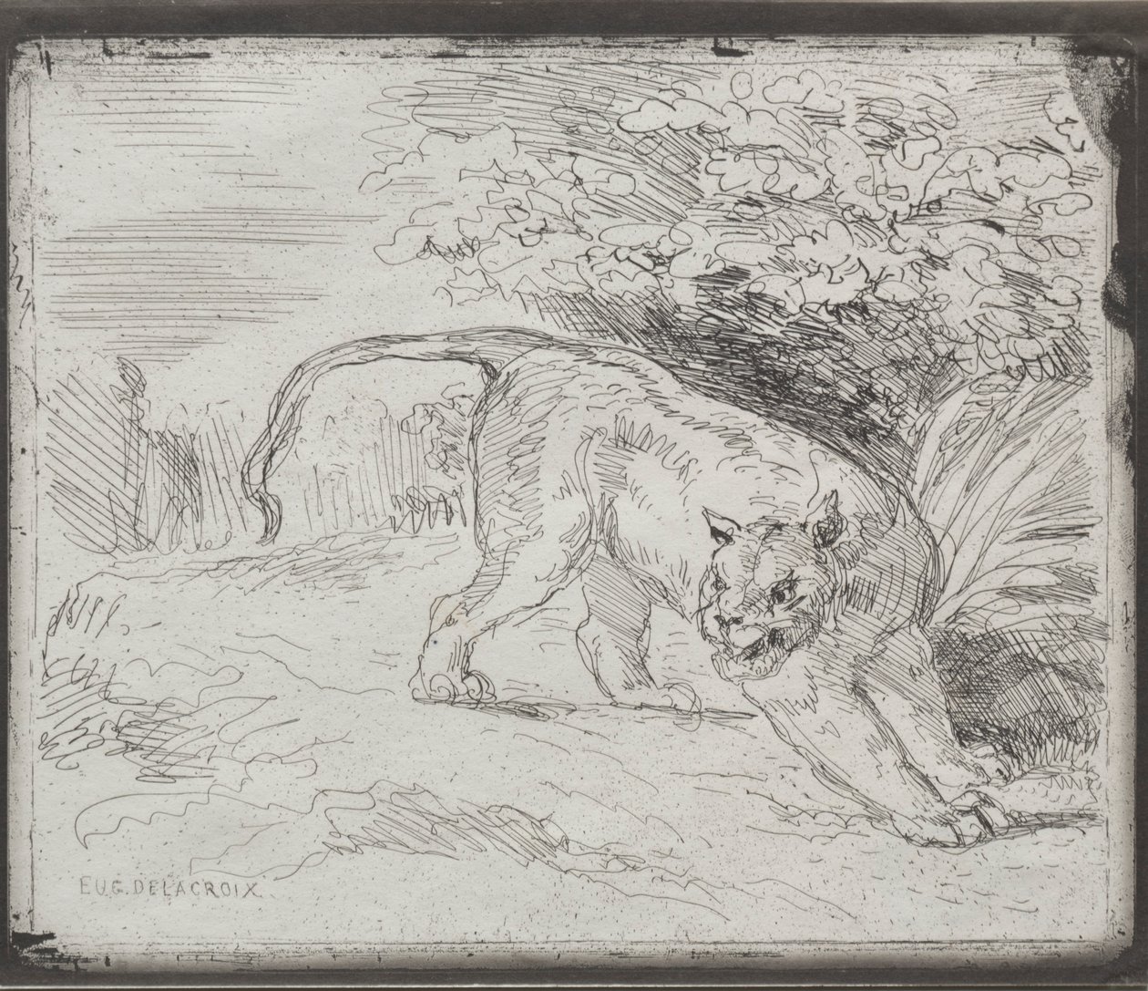 Een gevangen tijger, 1854 door Ferdinand Victor Eugene Delacroix