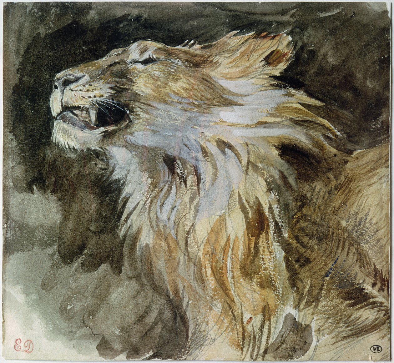 Het hoofd van een leeuw door Ferdinand Victor Eugene Delacroix