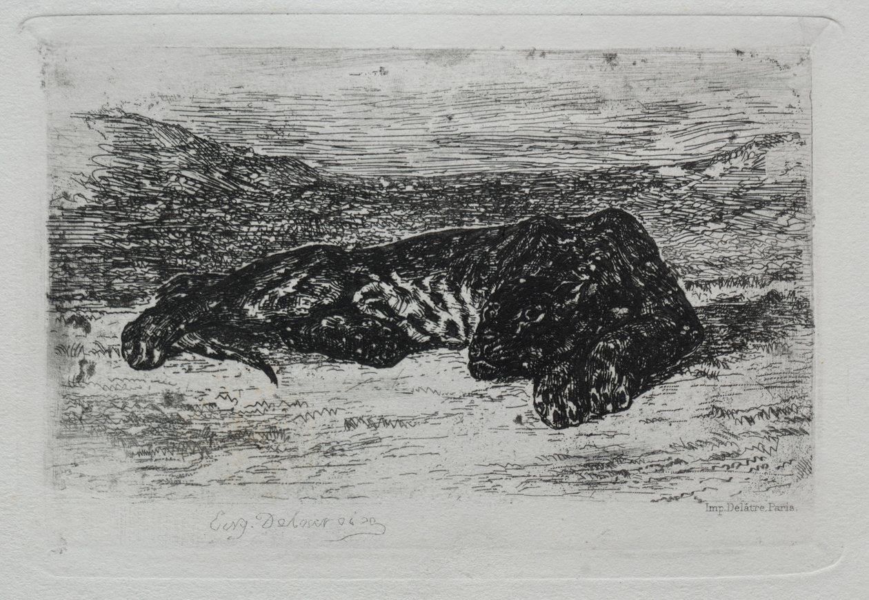 Tijger liggend in de woestijn door Ferdinand Victor Eugene Delacroix