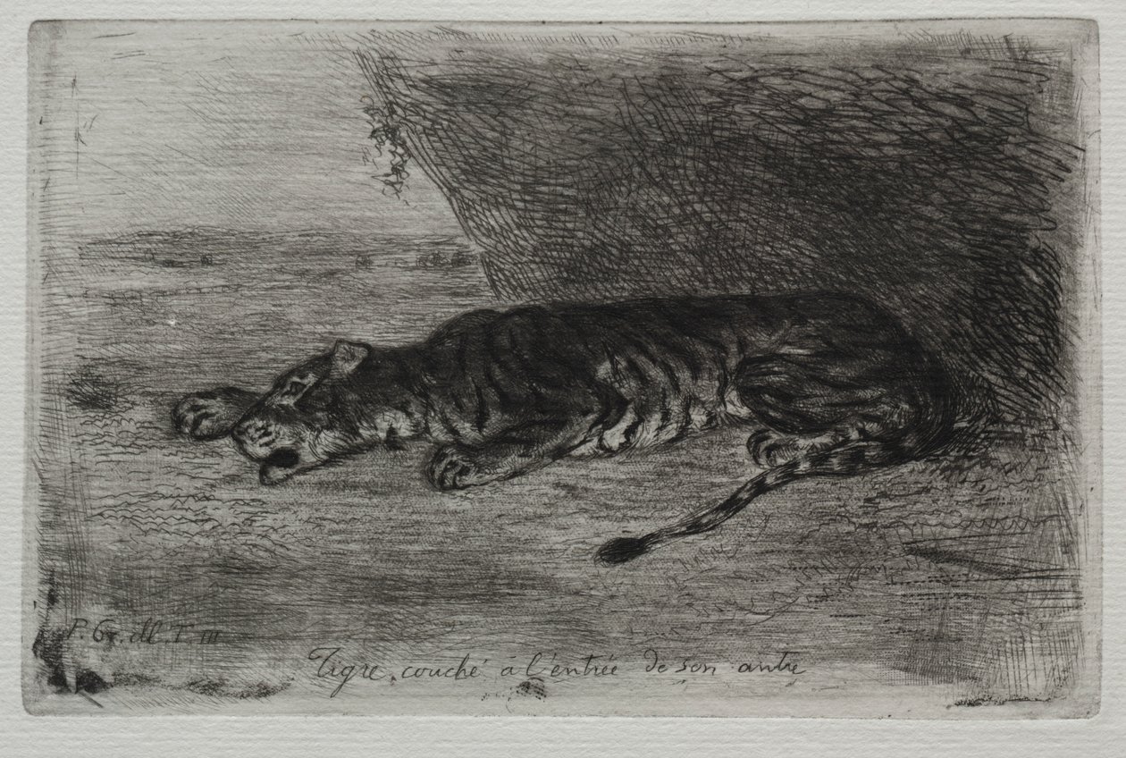 Liggende tijger bij de ingang van zijn hol door Ferdinand Victor Eugene Delacroix