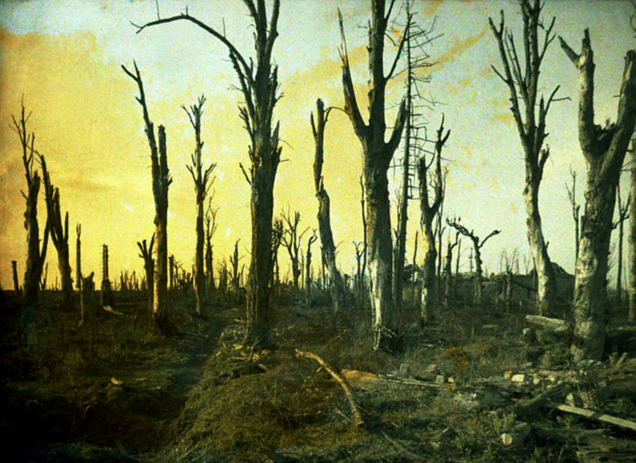 Bomen vernietigd tijdens de slag, Chaulnes, Somme, Frankrijk, 1917 door Fernand Cuville