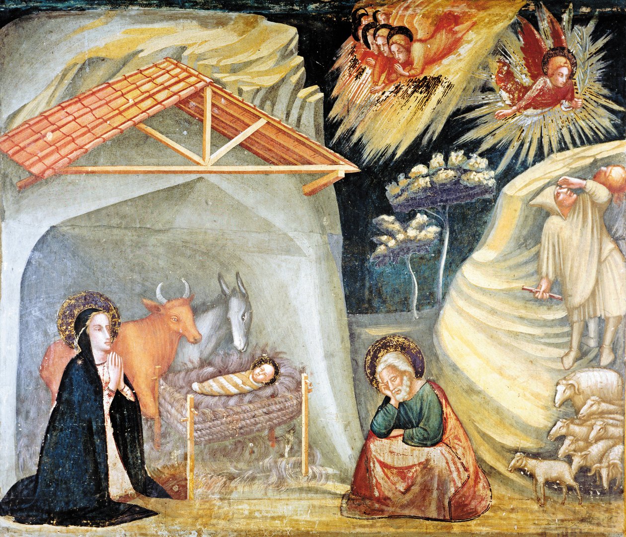  door Ferrer Bassa