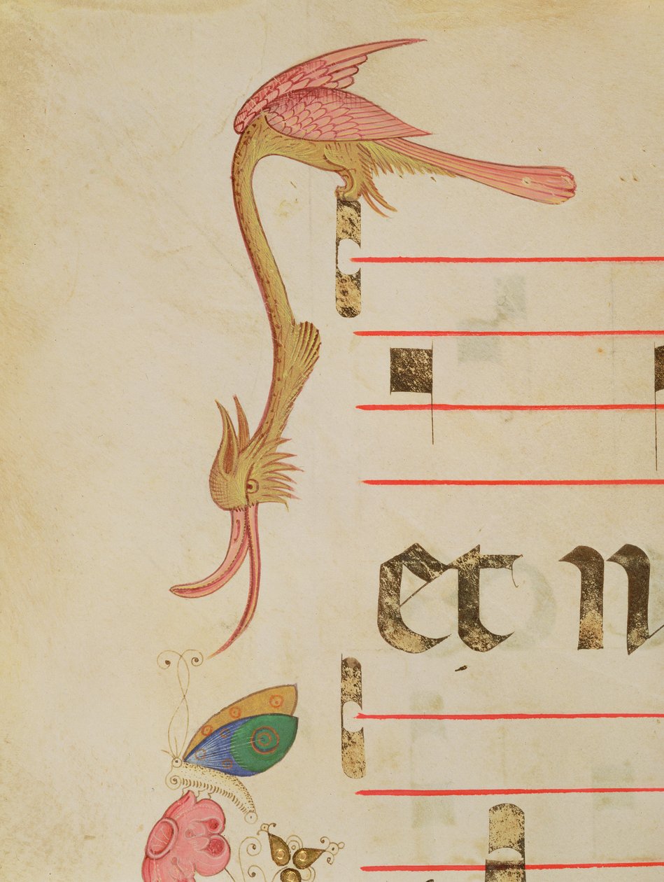 Missaal 515 f.9r Fantastische vogel die een vlinder jaagt, detail van decoratieve rand uit een Koorboek uitgevoerd voor 1449 door Filippo di Matteo Torelli