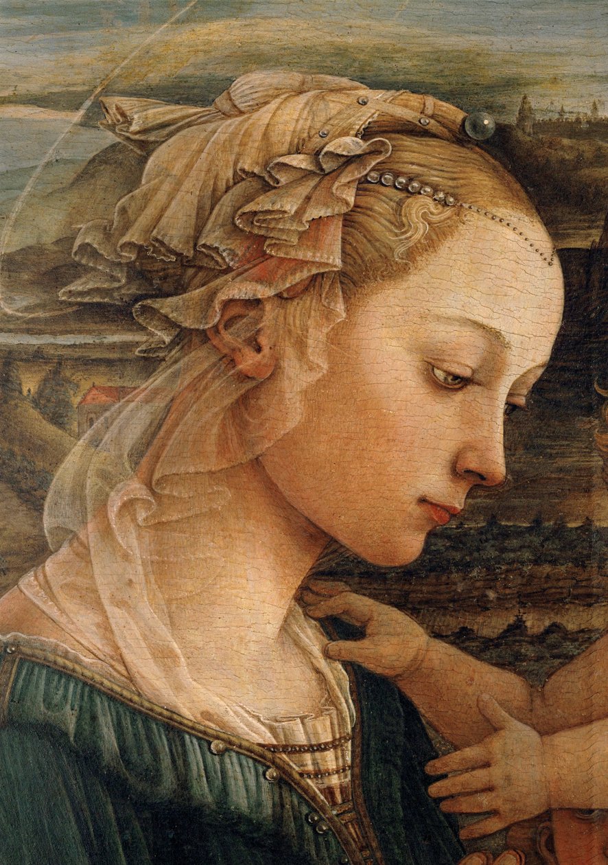 Madonna ... (tempera op hout) door Filippo (workshop of) Lippi
