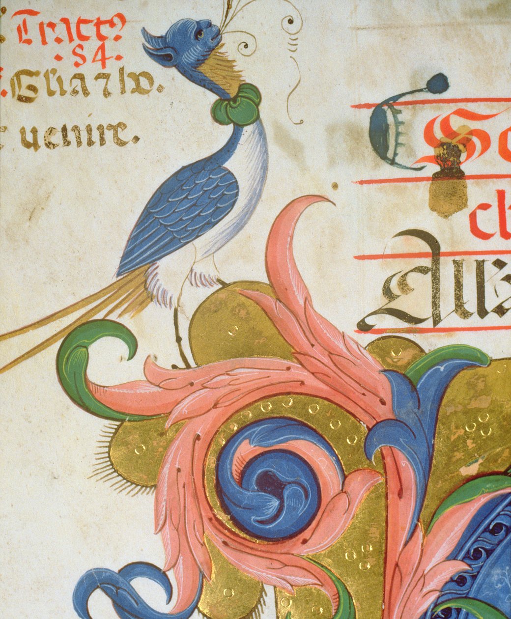 Missaal 515 f.28v Fantastische vogel met menselijk hoofd staand op de hoek van een versierde initiaal, detail uit een Koorboek uitgevoerd voor 1449 door Filippo di Matteo Torelli