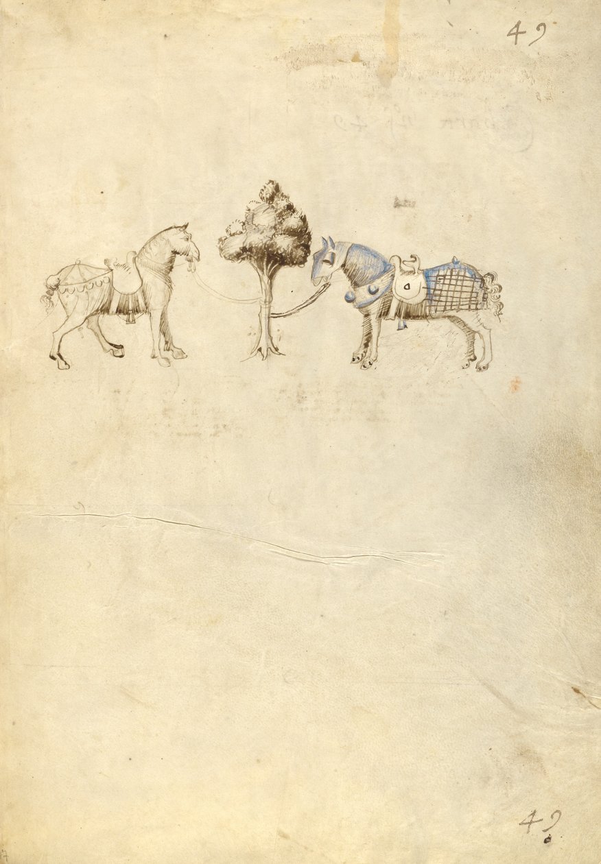 Twee paarden door Fiore Furlan dei Liberi da Premariacco