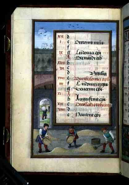 Ms 1058-1975 f8v Koren wannen in een schuur, verlichte kalenderpagina voor augustus, uit een Getijdenboek, c.1500 (perkament) door Flemish School