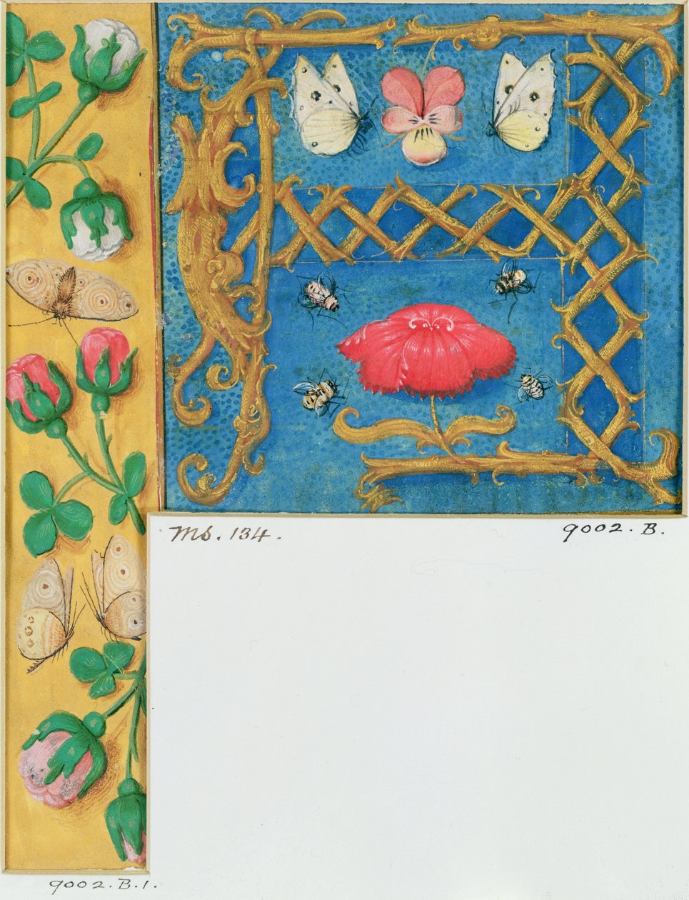 Verlichte letter `A en zijrand van bloemen, uit een Getijdenboek, ca. 1500 door Flemish School