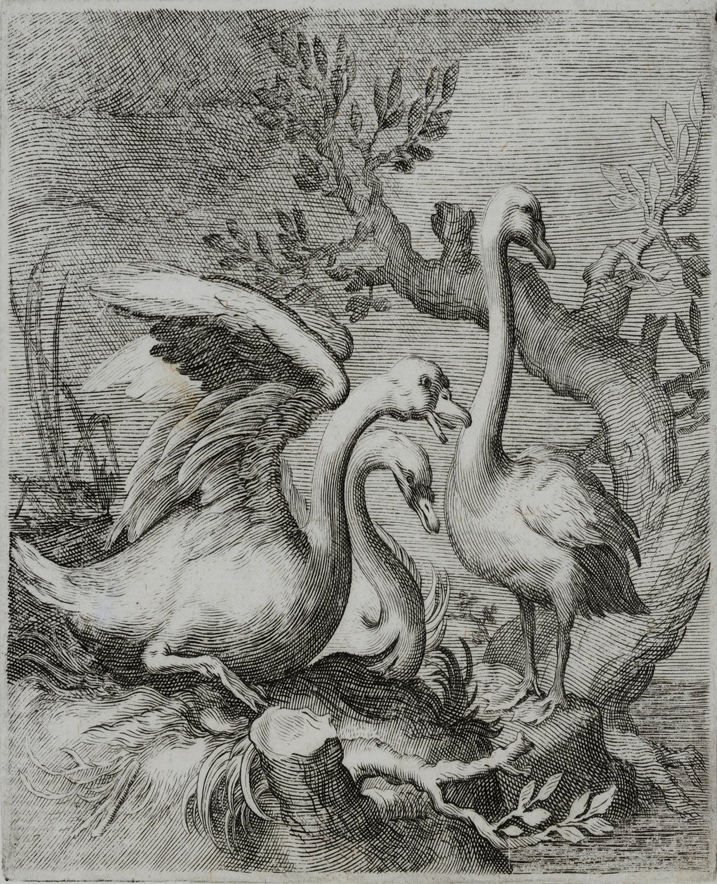 Oude Meester Gravure door Flemish School