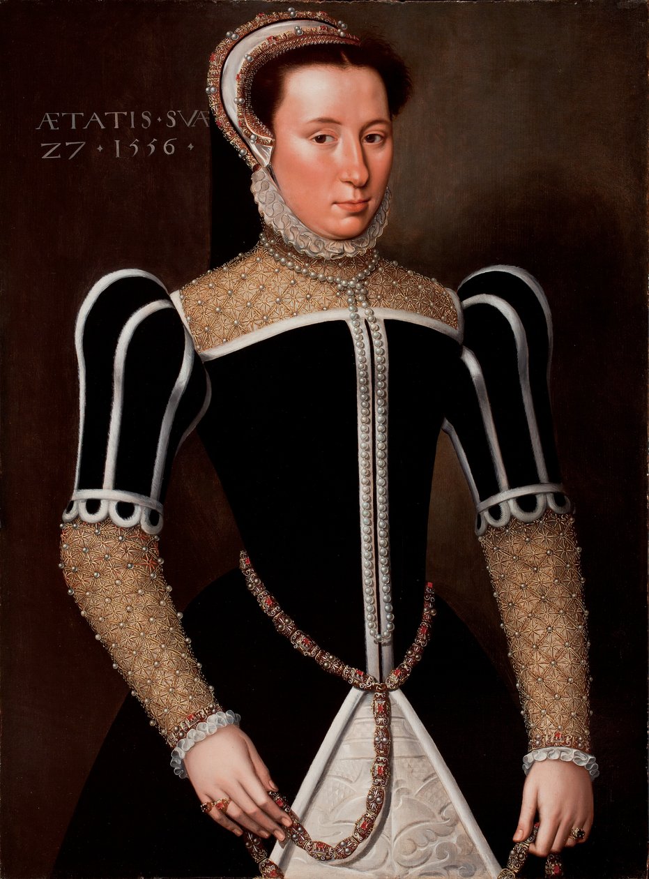 Portret van een Vrouw, 1556 door Flemish School