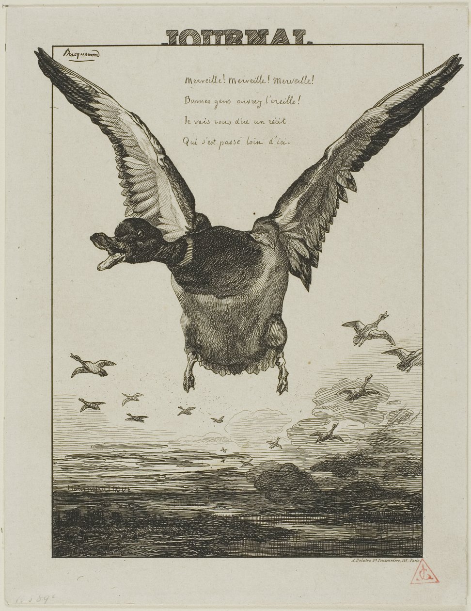 De Eend door Félix Henri Bracquemond