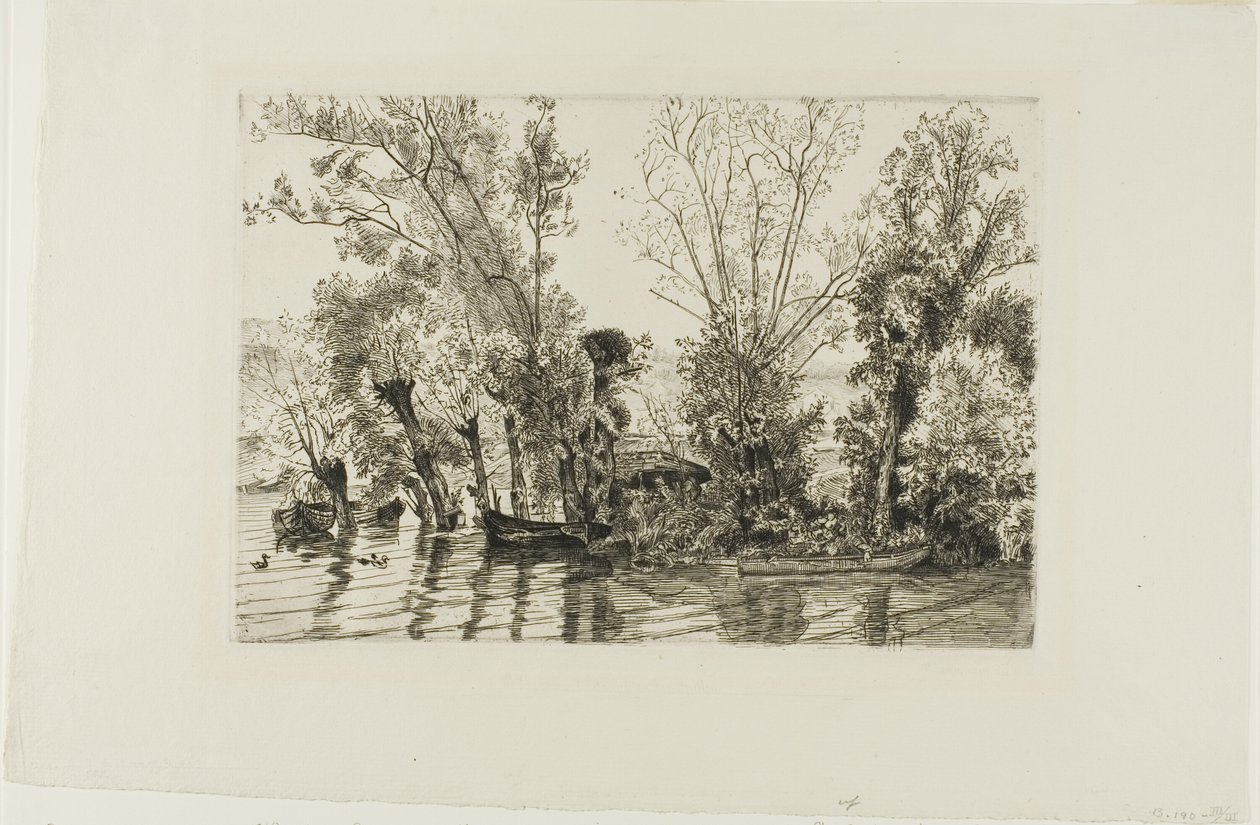 De wilgen van Mottiaux door Félix Henri Bracquemond