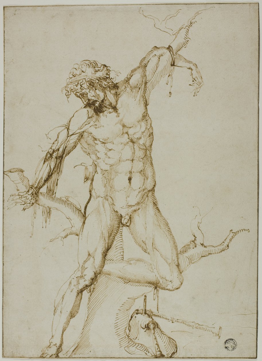 Marsyas vastgebonden aan een boom door Follower of Baccio Bandinelli