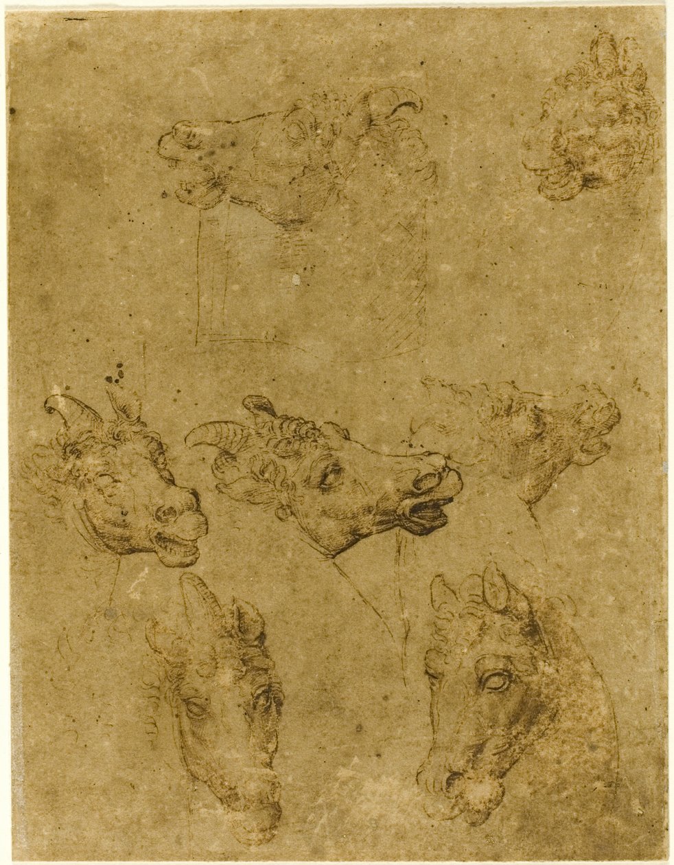 Hoofden van paarden en eenhoorns door Follower of Leonardo da Vinci