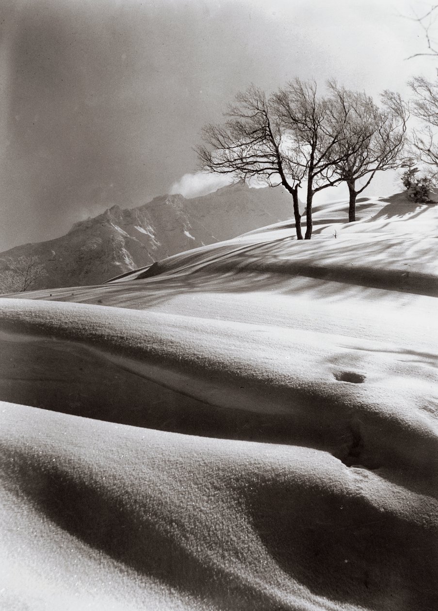 Sensuele sneeuw (op de achtergrond de berg Ashibetsu, 2100 m) door Fosco Maraini