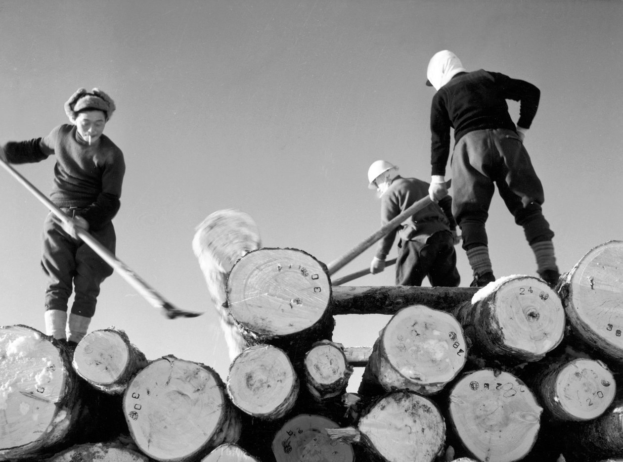 Houtsnijders aan het werk door Fosco Maraini