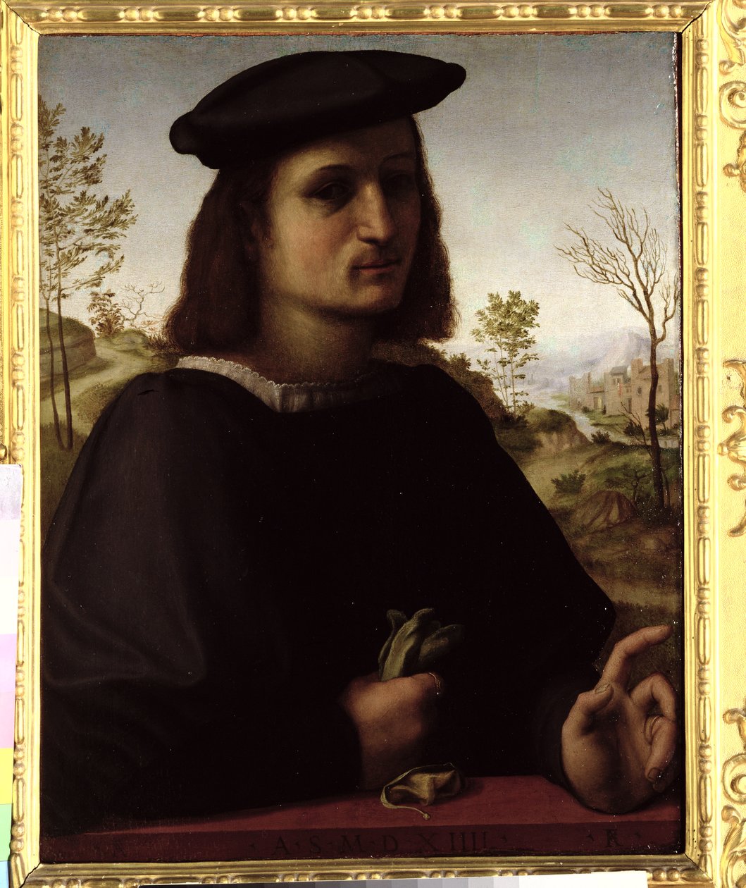 Portret van een jongeling met handschoenen door Francesco di Cristofano Franciabigio