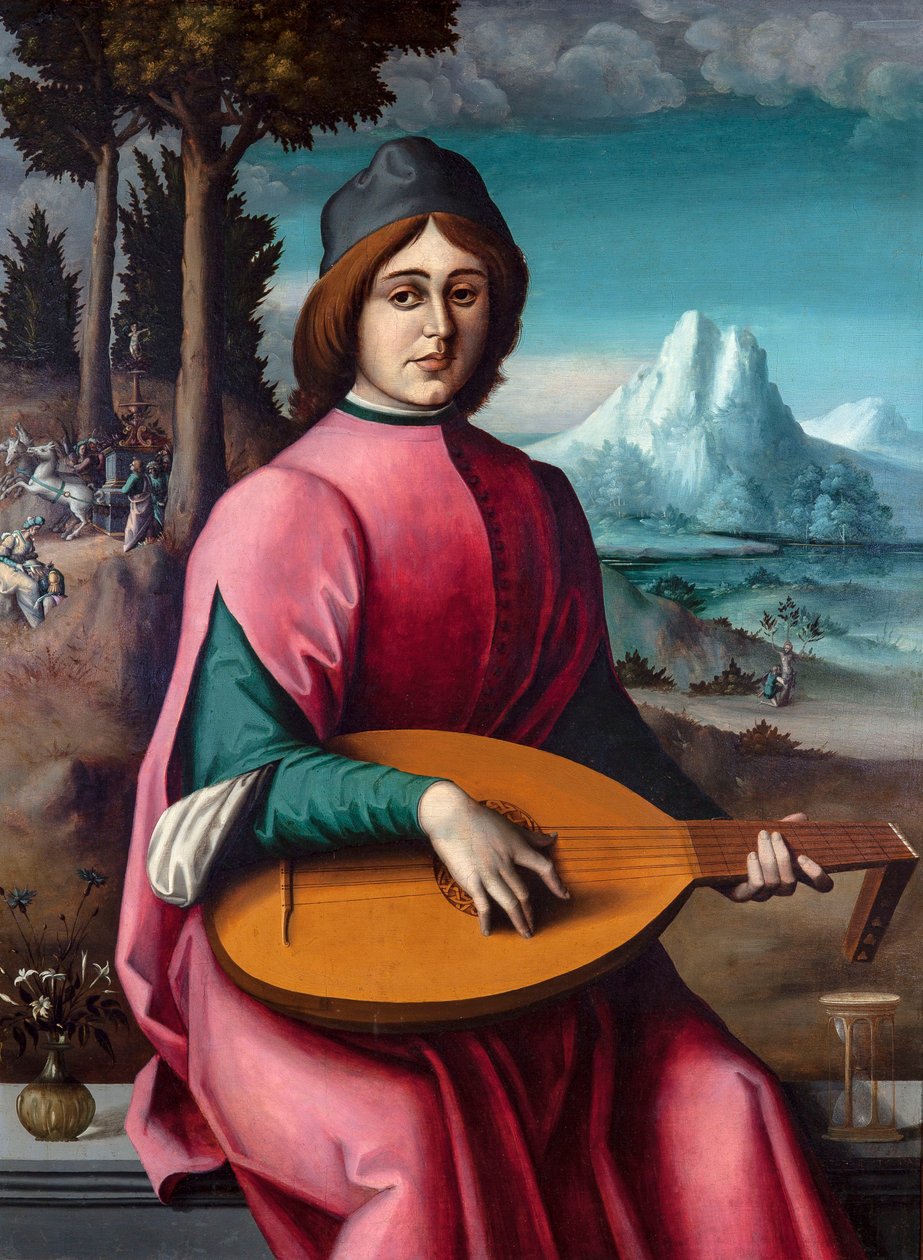Amerikaans Engels:  Portret van een jonge luitspeler Portret van een jonge luitspeler door Francesco Bacchiacca