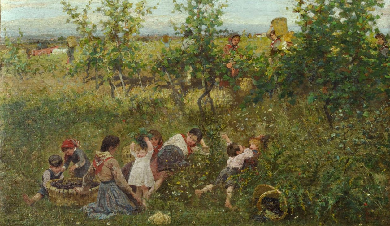 De druivenoogst door Francesco Gioli
