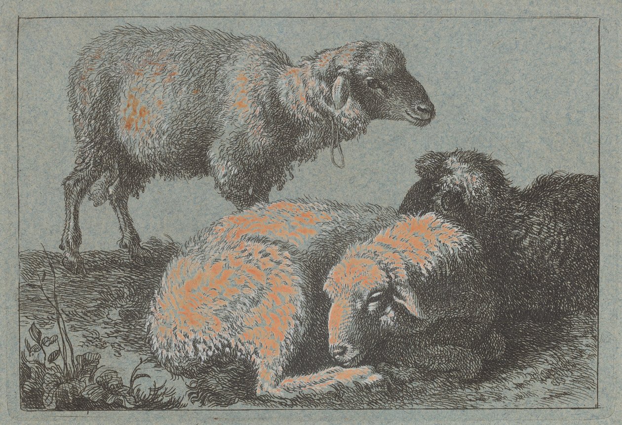 Twee liggende schapen en één staand schaap door Francesco Londonio