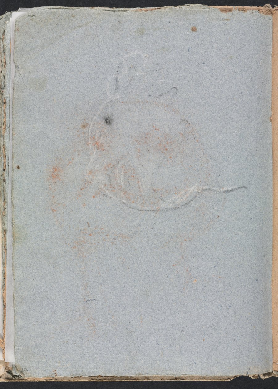 Verona Schetsboek: Hoofd (pagina 30) door Francesco Lorenzi