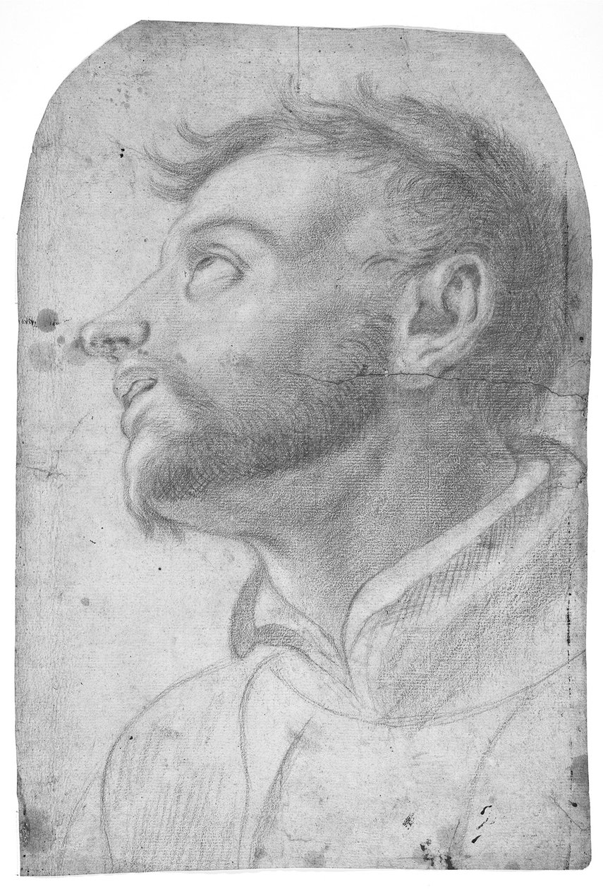 Hoofd van een man die omhoog kijkt door Francesco Solimena