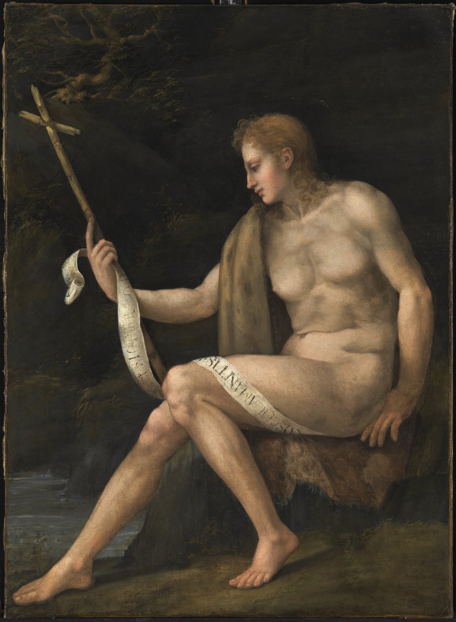 Sint Johannes de Doper in de Wildernis door Francesco Ubertini Bacchiacca