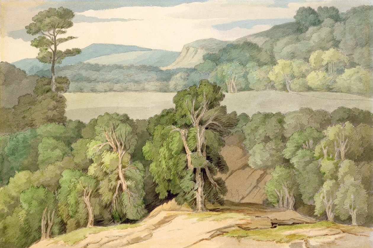 Op de Plym door Francis Towne