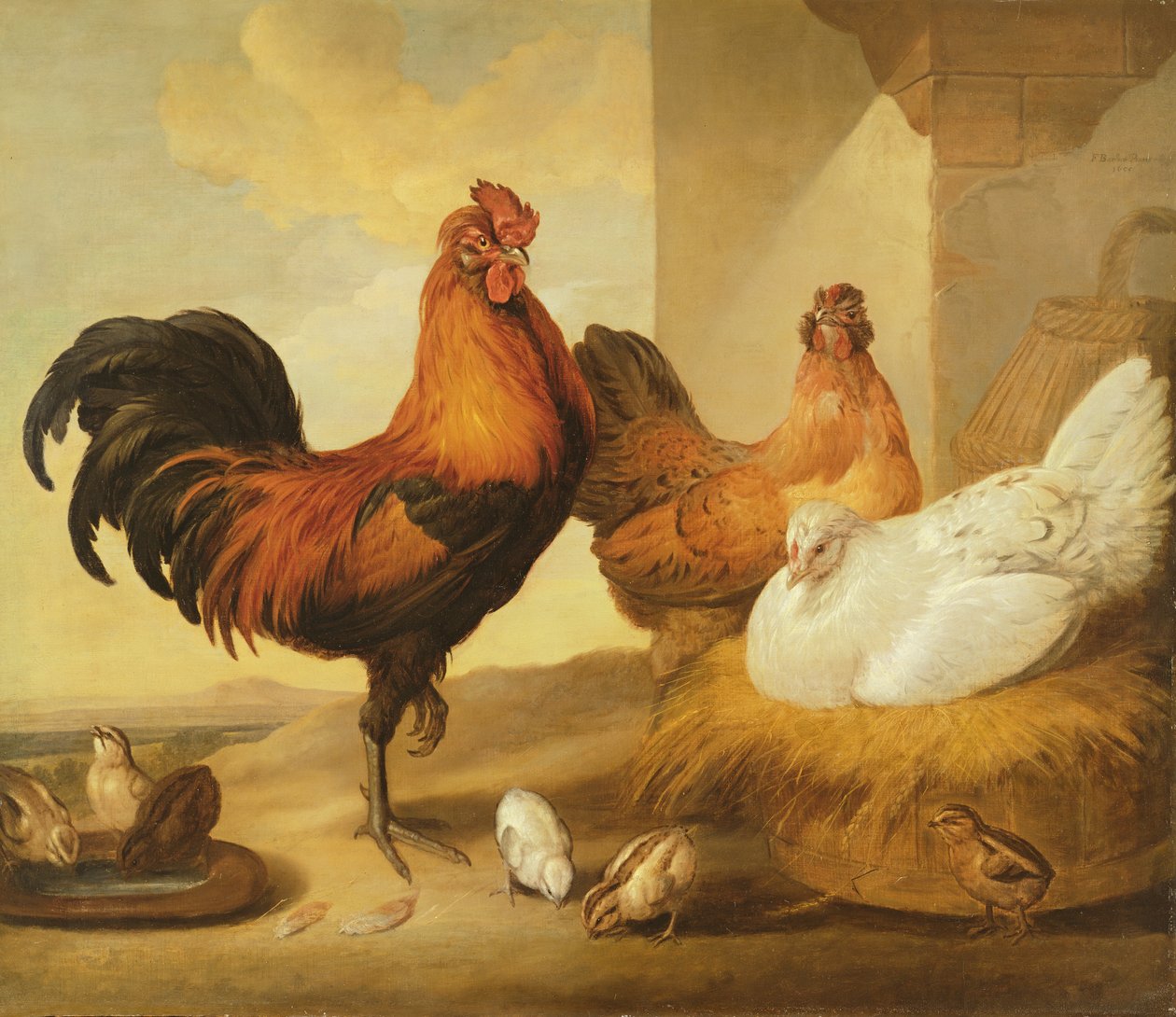 Huiselijke Haan, Hennen en Kuikens, 1655 door Francis Barlow