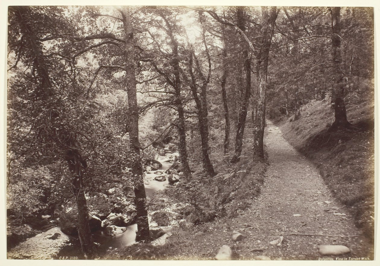 Dolgelley, uitzicht in Torrent Walk, 1860-94 door Francis Bedford
