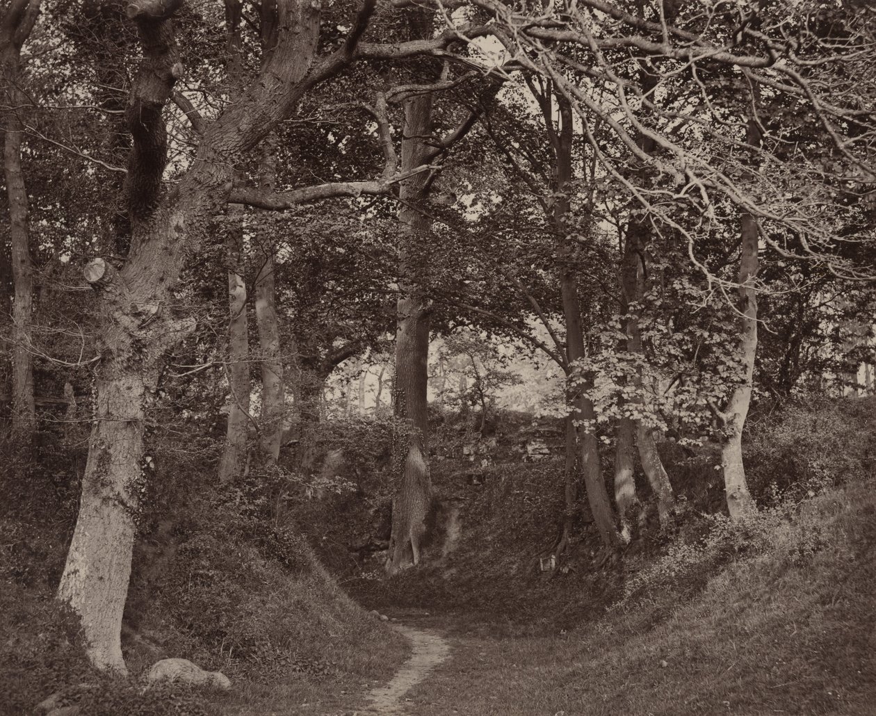 Glen Kenilworth,c. 1868 (foto) door Francis Bedford
