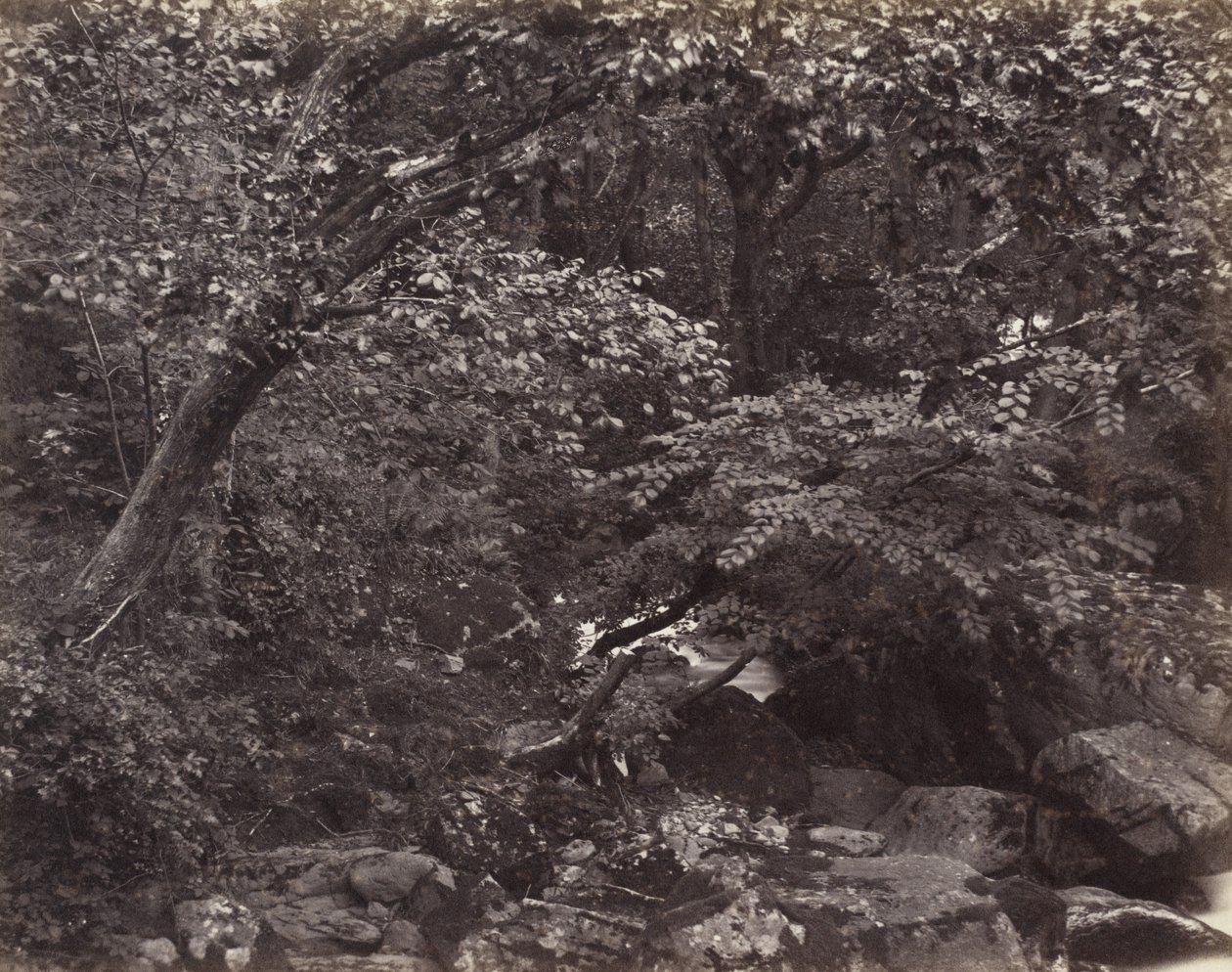 Glen bij Lynmouth door Francis Bedford, Francis Frith