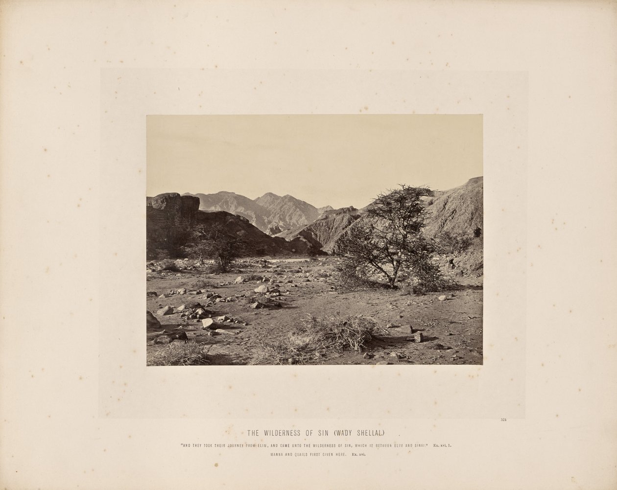 De wildernis van de zonde (Wady Shellal) door Francis Frith