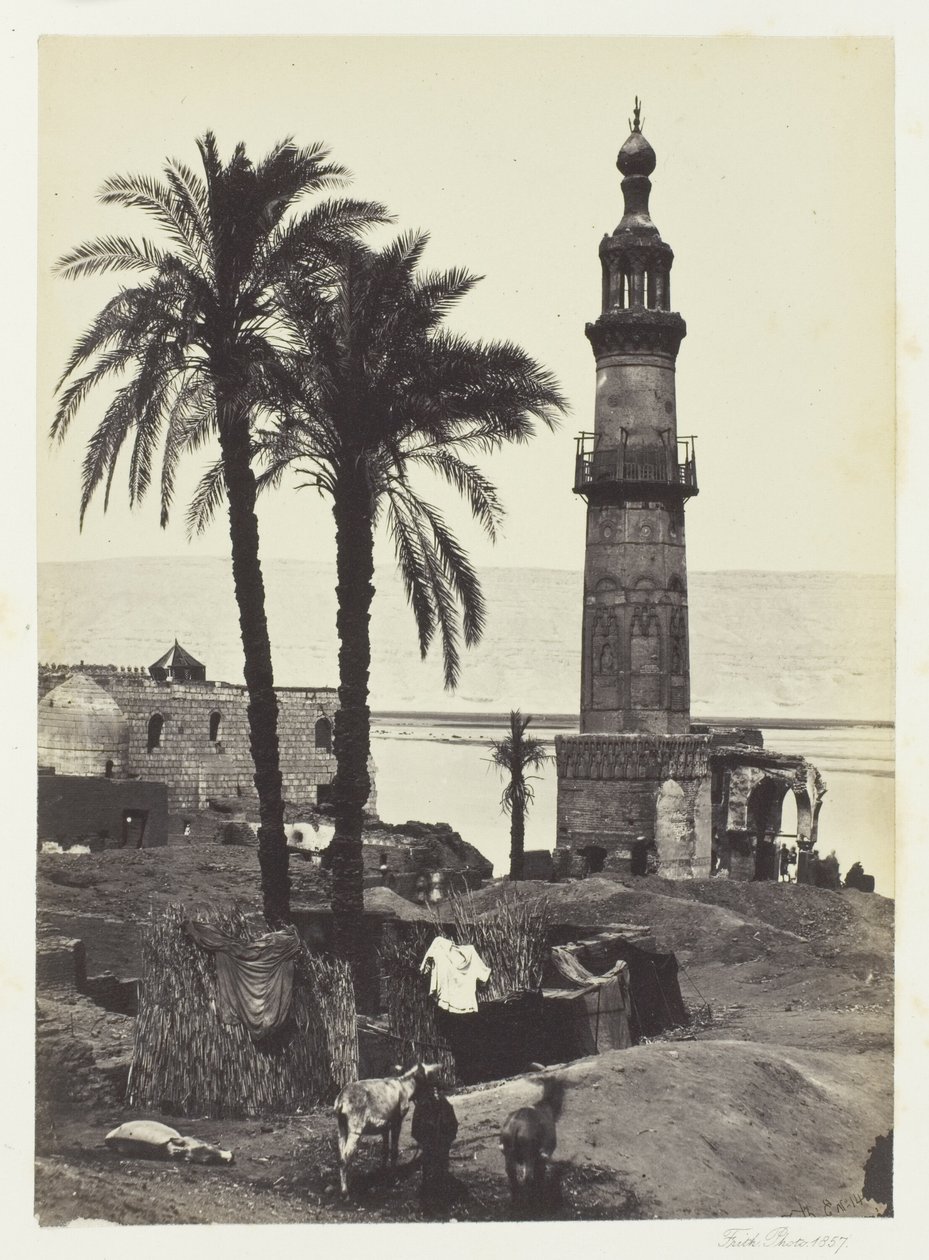 Uitzicht in Girgeh, Opper-Egypte door Francis Frith