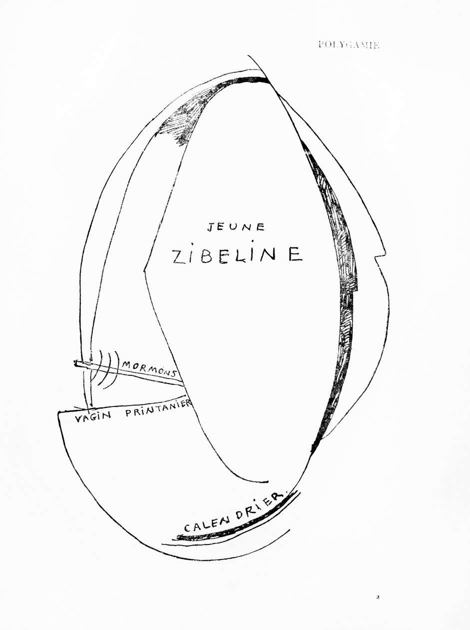 Poemes et Dessins de la Fille nee sans Mere, nr.15, uitgegeven door Imprimeries Reunies, Lausanne door Francis Picabia