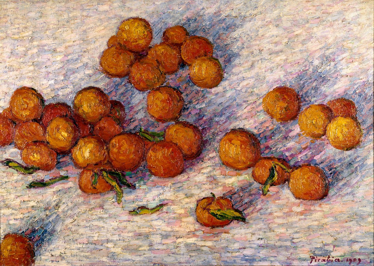 De sinaasappels door Francis Picabia