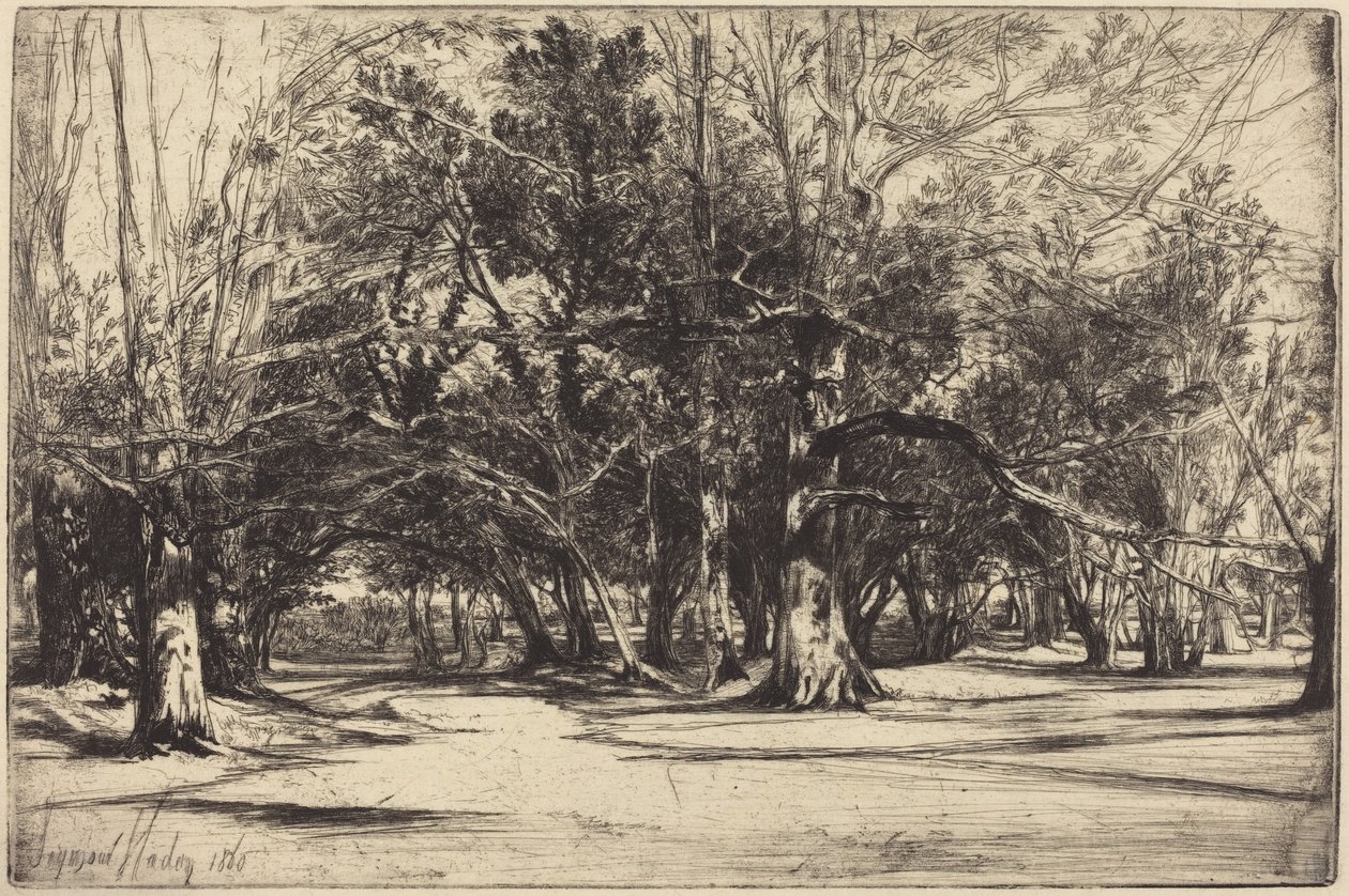 Een zijweg in Tipperary door Francis Seymour Haden
