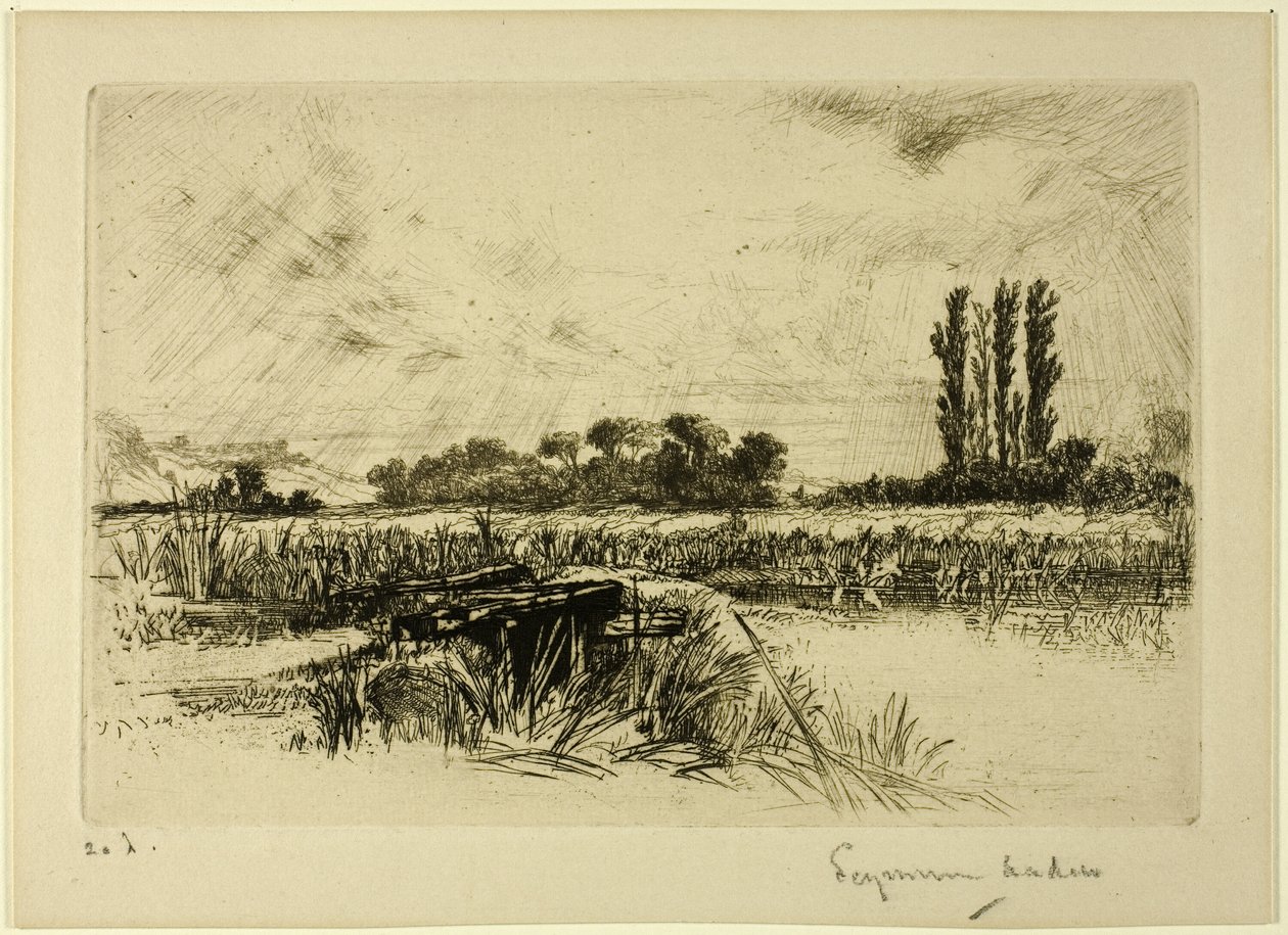 Een Waterweide door Francis Seymour Haden
