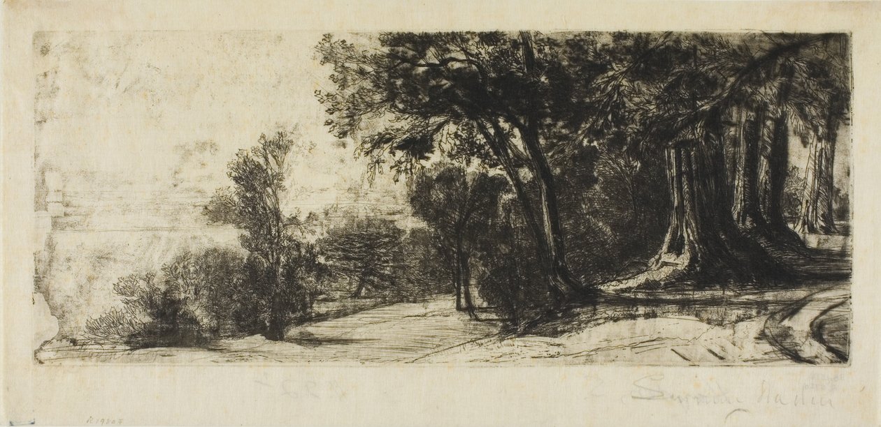 Vroege Ochtend, Richmond Park door Francis Seymour Haden