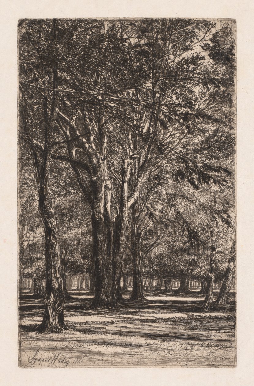 Kensington Gardens, nr. 2 (De grotere plaat) door Francis Seymour Haden