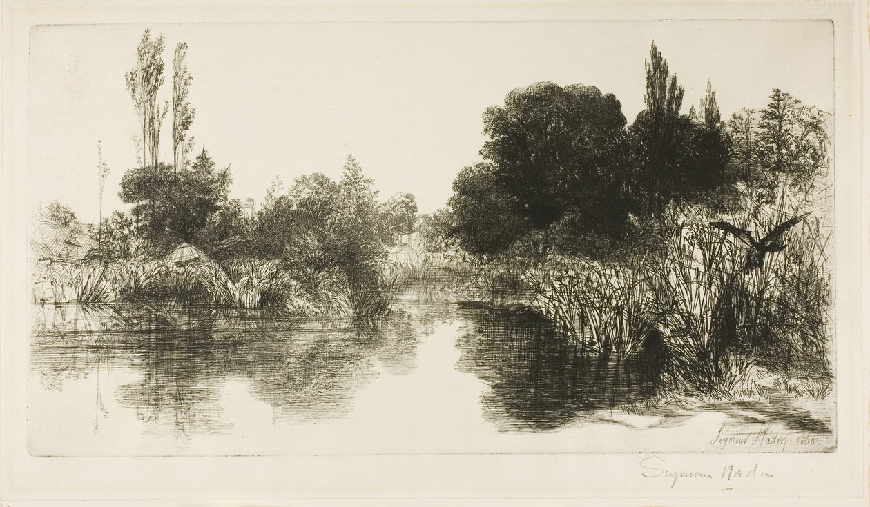 Shere Mill Pond, No. II (grote plaat) door Francis Seymour Haden