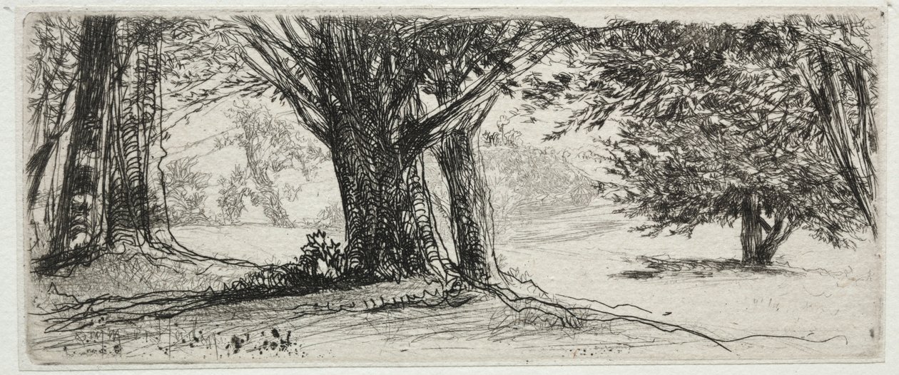 Het Hulstveld door Francis Seymour Haden