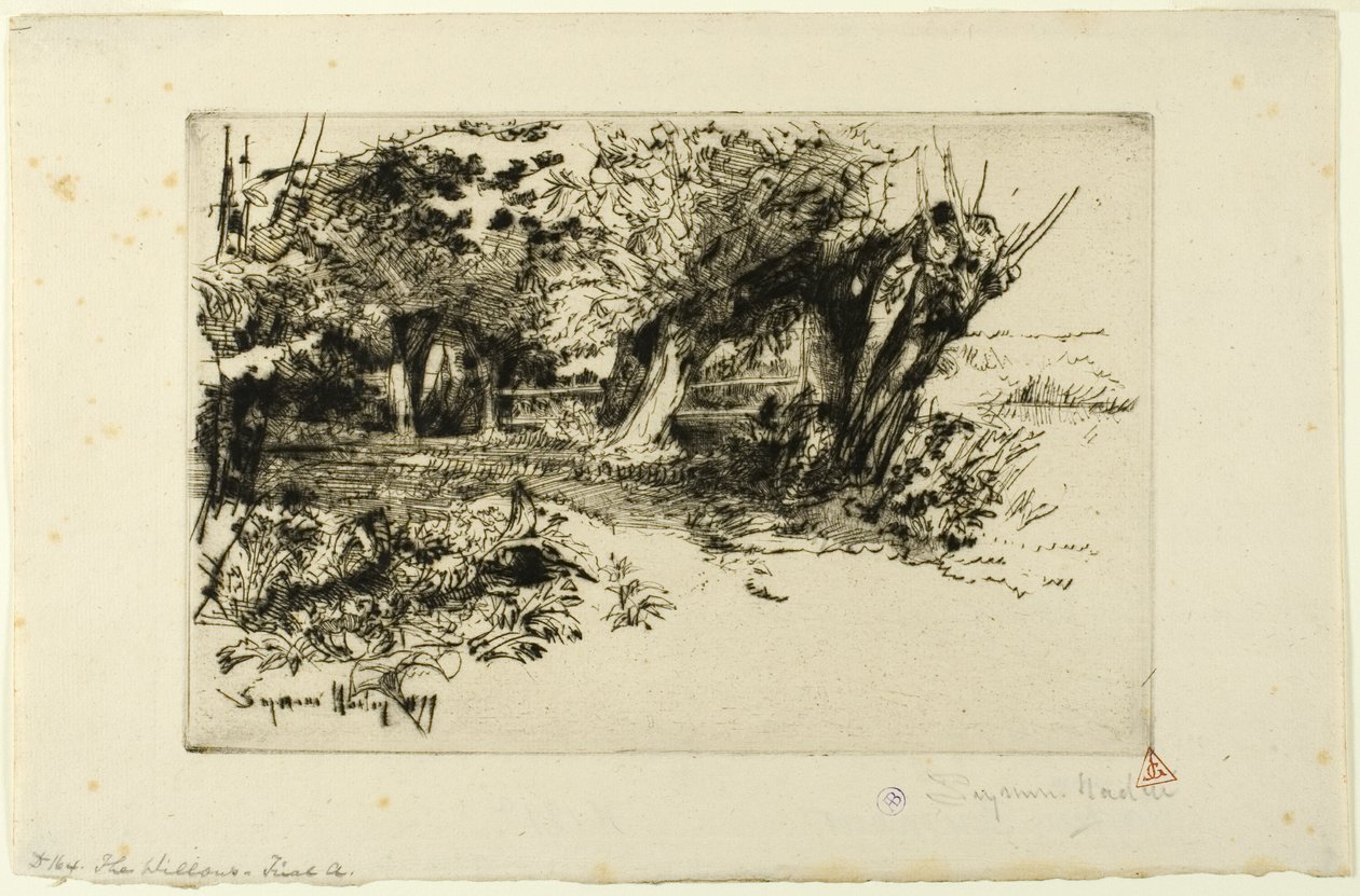 De Wilgen door Francis Seymour Haden
