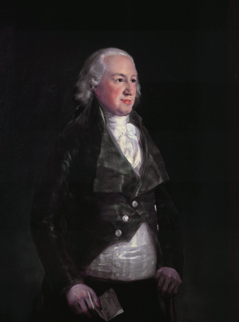 Don Pedro de Alcántara Téllez Girón door Francisco de Goya