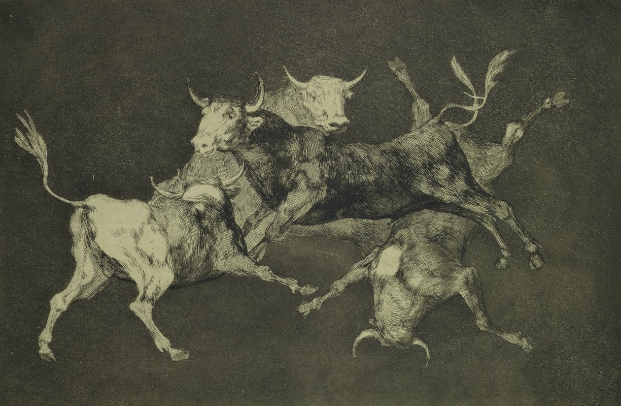Dwaasheid van de Stieren, uit de serie Follies, ca. 1815-24 door Francisco de Goya