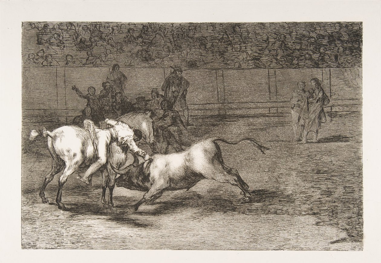 Plaat 23 uit de 