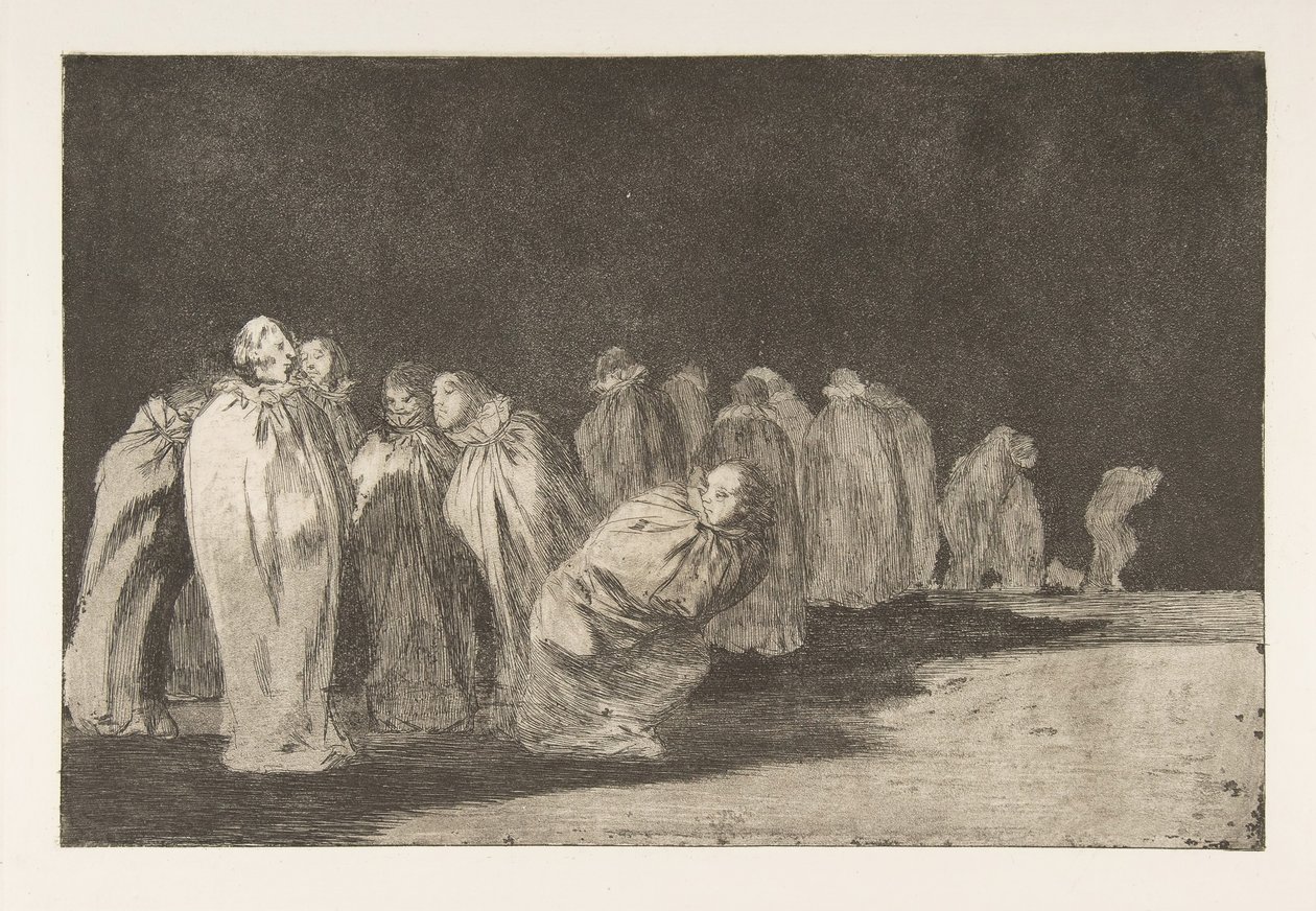 Plate 8 uit de 
