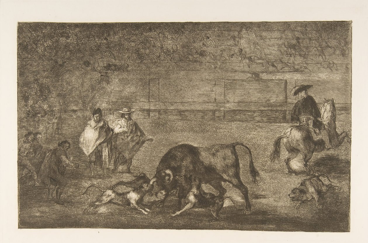 Plaat C: De honden losgelaten op de stier, ca. 1816 door Francisco de Goya