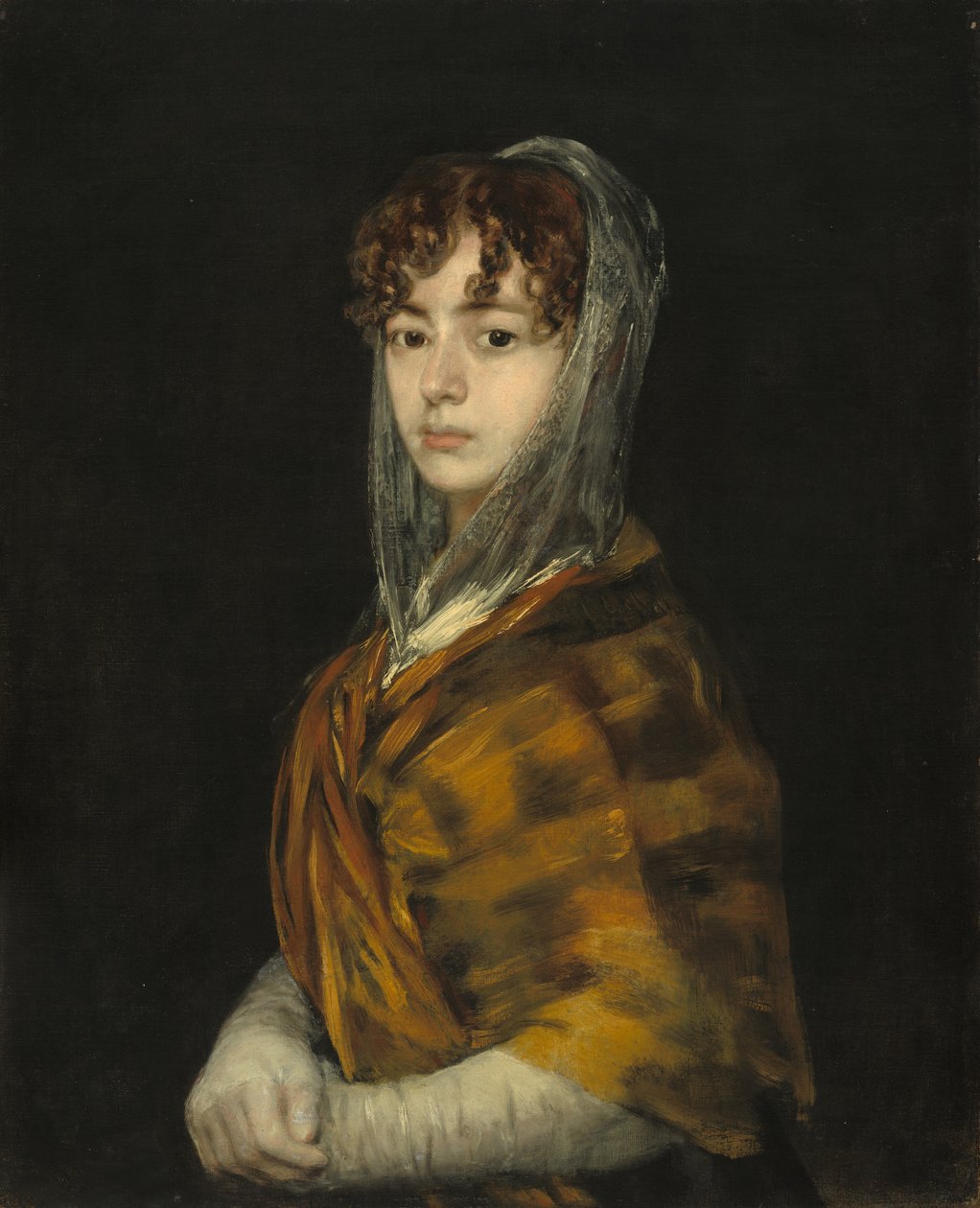 Señora Sabasa Garcia door Francisco de Goya